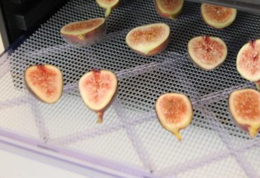 drying figs in food dehydrator