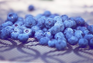 dehydrating blueberries