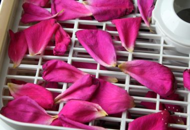 how to dry rose petals