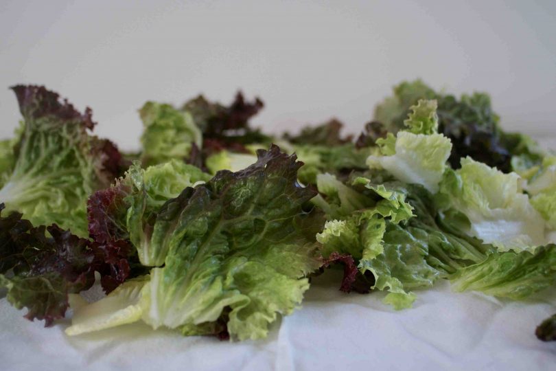 how to dehydrate lettuce